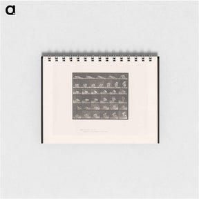 アートメモ帳-The Reader
 - エドワード マイブリッジ Memo.