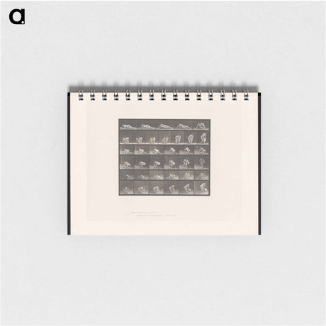 アートメモ帳-The Reader
 - エドワード マイブリッジ Memo.