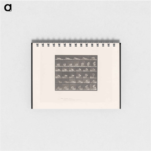 アートメモ帳-The Reader
 - エドワード マイブリッジ Memo.