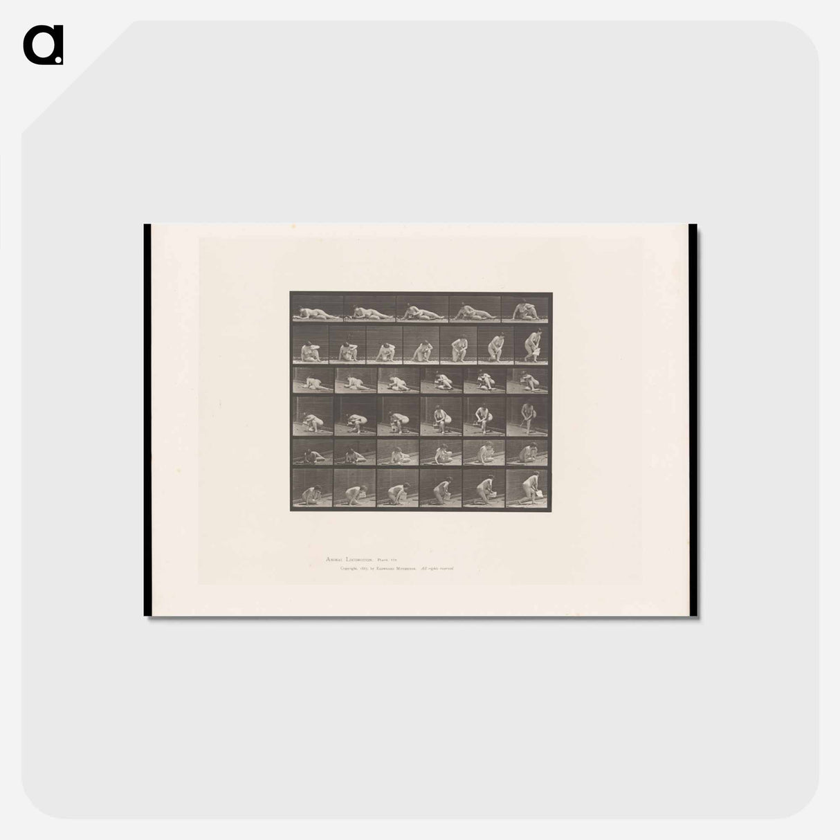 アートポストカード-The Reader
 - エドワード マイブリッジ Postcard.