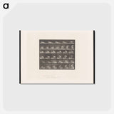 アートポストカード-The Reader
 - エドワード マイブリッジ Postcard.