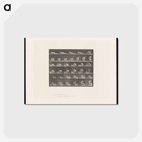 アートポストカード-The Reader
 - エドワード マイブリッジ Postcard.
