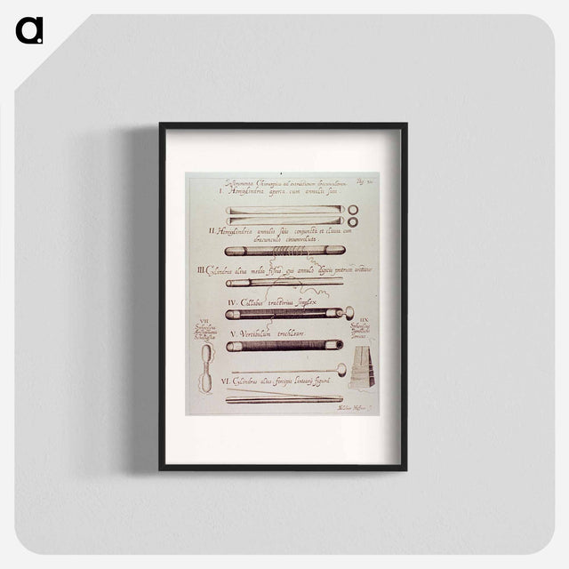 アートポスター-Instrumenta Chirurgica ad extractionem dracunculorum
 - 国立医学図書館 Poster.
