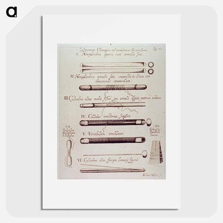アートポスター-Instrumenta Chirurgica ad extractionem dracunculorum
 - 国立医学図書館 Poster.