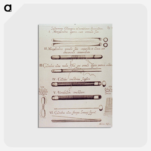 アートポストカード-Instrumenta Chirurgica ad extractionem dracunculorum
 - 国立医学図書館 Postcard.
