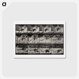 アートポストカード-Jumping Kangaroo
 - エドワード マイブリッジ Postcard.