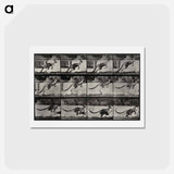 アートポストカード-Jumping Kangaroo
 - エドワード マイブリッジ Postcard.