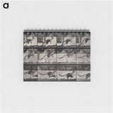 アートメモ帳-Jumping Kangaroo
 - エドワード マイブリッジ Memo.