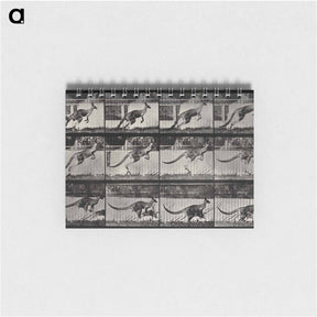 アートメモ帳-Jumping Kangaroo
 - エドワード マイブリッジ Memo.