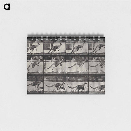 アートメモ帳-Jumping Kangaroo
 - エドワード マイブリッジ Memo.