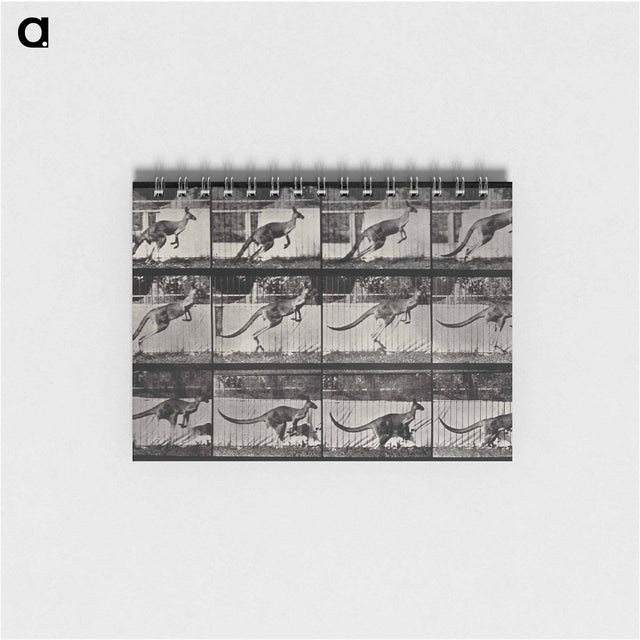アートメモ帳-Jumping Kangaroo
 - エドワード マイブリッジ Memo.