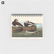 アートメモ帳-Long-tailed Duck from Birds of America
 - アメリカの鳥たち Memo.