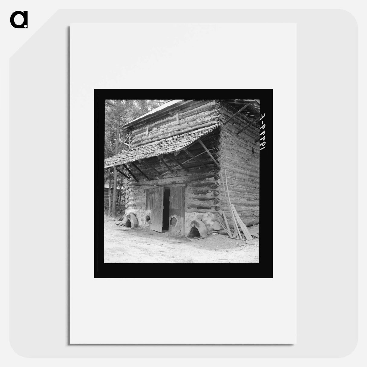 Tobacco barn with newly plastered furnace in preparation for "putting in" - Dorothea Lange Poster.