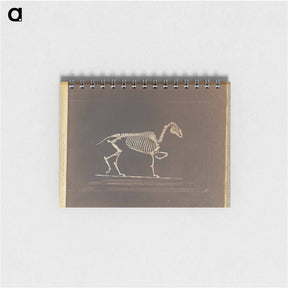アートメモ帳-Trotting
 - エドワード マイブリッジ Memo.
