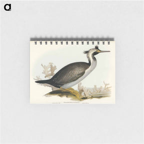 アートメモ帳-Spotted Cormorant
 - ジョン グールド Memo.