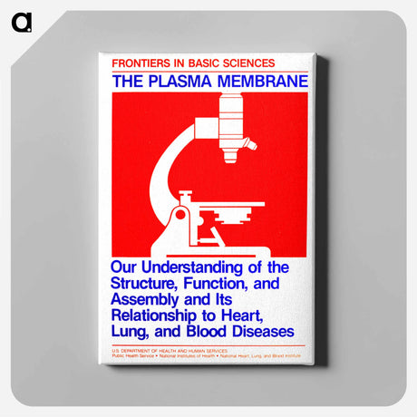 アートパネル-Plasma Membrane
 - 国立医学図書館 Canvas.