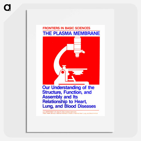 アートポスター-Plasma Membrane
 - 国立医学図書館 Poster.