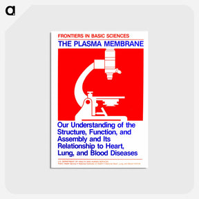 アートポストカード-Plasma Membrane
 - 国立医学図書館 Postcard.