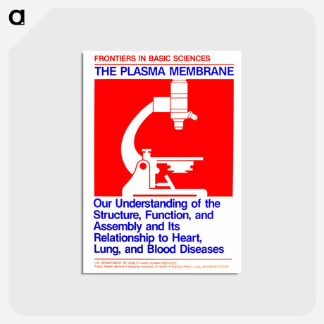 アートポストカード-Plasma Membrane
 - 国立医学図書館 Postcard.