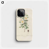 Rose illustration - Pierre Joseph Redouté Phone Case.