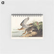 アートメモ帳-Bartram Sandpiper from Birds of America
 - アメリカの鳥たち Memo.
