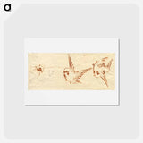 アートポストカード-Hokusai's bird - 葛飾 北斎 Postcard.