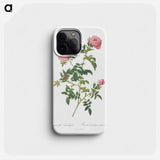 Hundred-petalled English Rose - Pierre Joseph Redouté Phone Case.