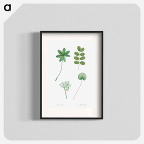 アートポスター-Tree leaf set - ピエール ジョゼフ ルドゥーテ Poster.