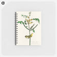 アートメモ帳-Children's Warbler from Birds of America
 - アメリカの鳥たち Memo.