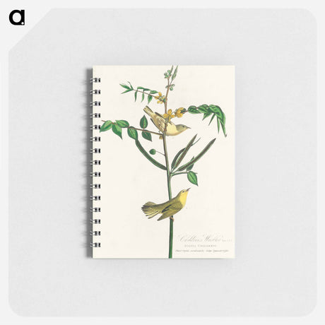 アートメモ帳-Children's Warbler from Birds of America
 - アメリカの鳥たち Memo.