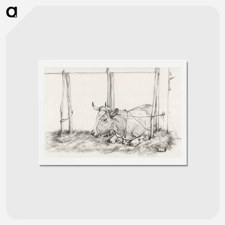 アートポストカード-Lying cow - ジャン ベルナール Postcard.