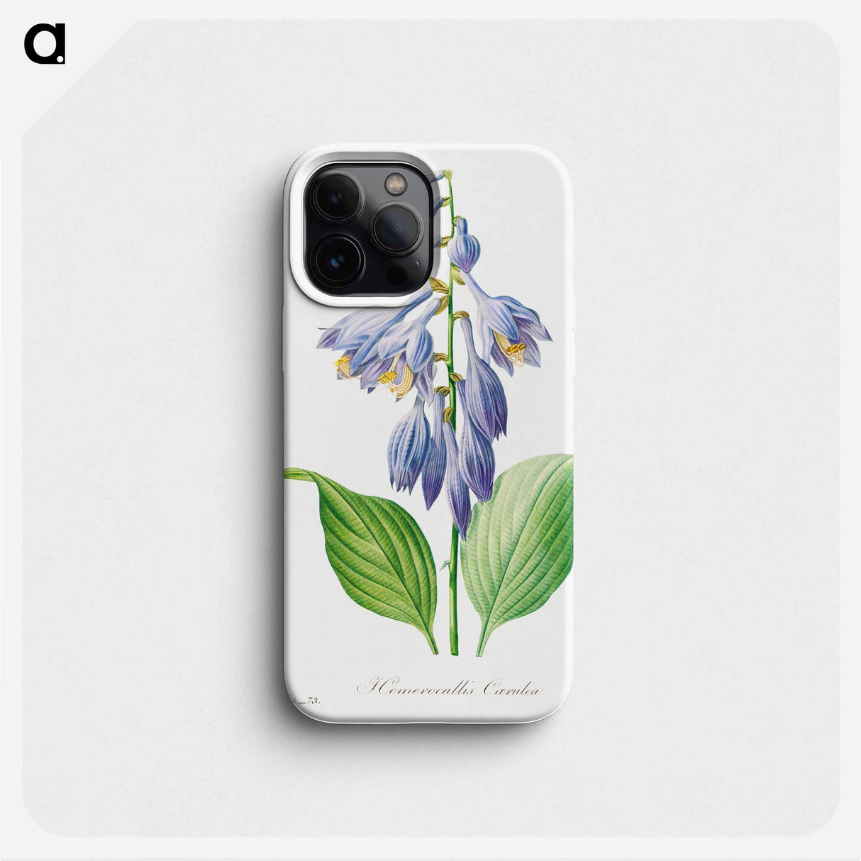 Daylily - Pierre Joseph Redouté Phone Case.