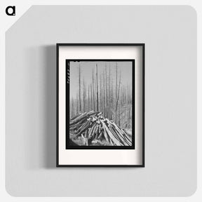アートポスター-Clearing the Tillamook Burn
 - ラッセル リー Poster.