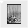 アートポストカード-Clearing the Tillamook Burn
 - ラッセル リー Postcard.