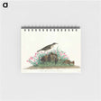 アートメモ帳-Prairie Titlark from Birds of America
 - アメリカの鳥たち Memo.
