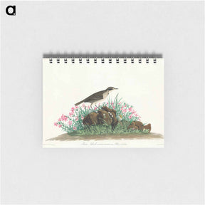 アートメモ帳-Prairie Titlark from Birds of America
 - アメリカの鳥たち Memo.
