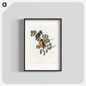 アートポスター-Azure Kingfisher
 - オーストラリアの鳥 Poster.