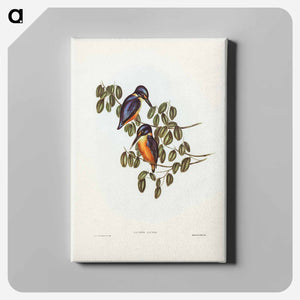 オーストラリア