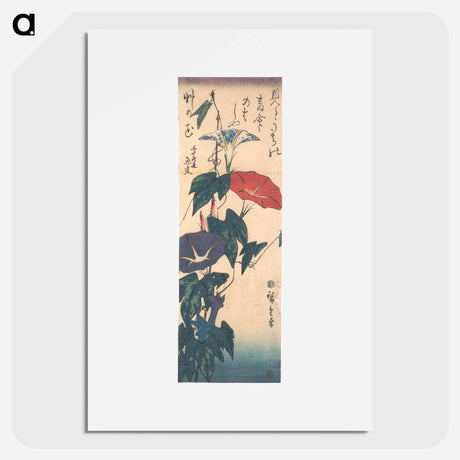 アートポスター-Morning Glories
 - 歌川 広重 Poster.