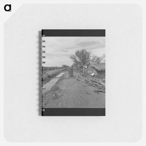アートメモ帳-Ditch bank housing for Mexican field workers - ドロテア ラング Memo.