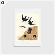 アートポストカード-Bank Swallow and Violet-green Swallow
 - ジョン ジェームス オーデュボン Postcard.