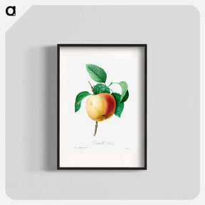 アートポスター-Apple - ピエール ジョゼフ ルドゥーテ Poster.