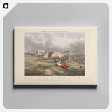 アートパネル-Fox Hunting: Fores's Hunting Casualties - A Turn of speed over the flat
 - イェール大学アートギャラリー Canvas.