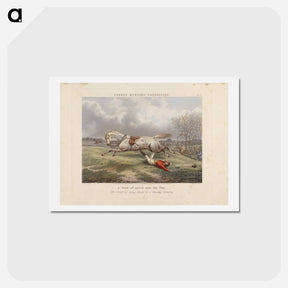アートポストカード-Fox Hunting: Fores's Hunting Casualties - A Turn of speed over the flat
 - イェール大学アートギャラリー Postcard.