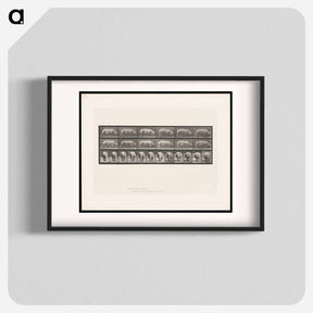 アートポスター-Walking Sow
 - エドワード マイブリッジ Poster.