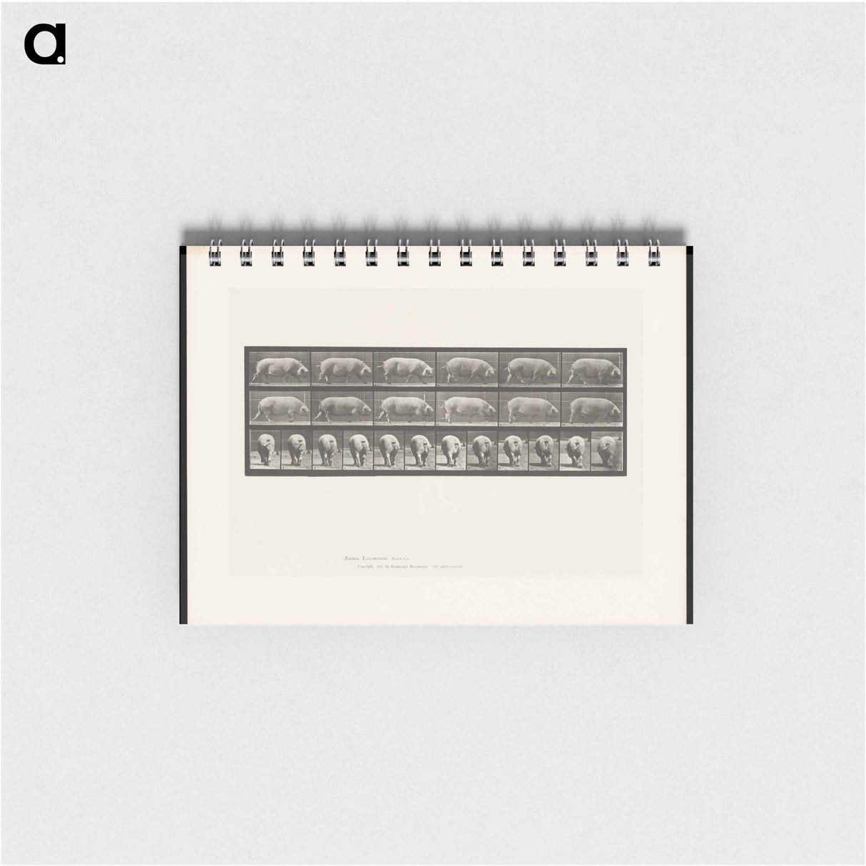 アートメモ帳-Walking Sow
 - エドワード マイブリッジ Memo.