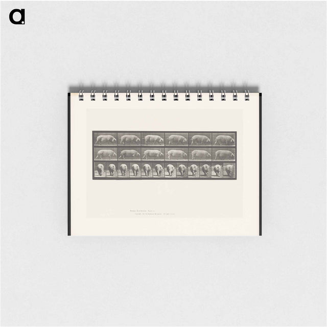 アートメモ帳-Walking Sow
 - エドワード マイブリッジ Memo.