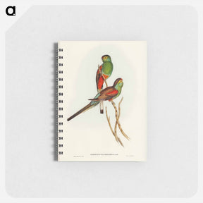 アートメモ帳-Beautiful Parakeet
 - ジョン グールド Memo.