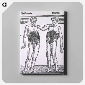 アートパネル-Abdominal Muscles
 - 国立医学図書館 Canvas.