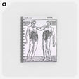 アートメモ帳-Abdominal Muscles
 - 国立医学図書館 Memo.